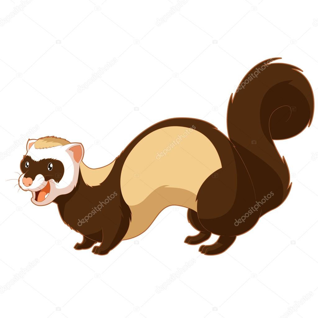Cartoon smiling ferret Stock Vector by ©Kolonorf 103533382