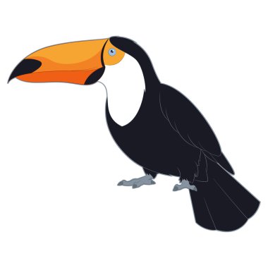 Çizgi film gülümseyen Toucan