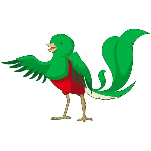 Cartoon lachende Quetzal — Stockvector