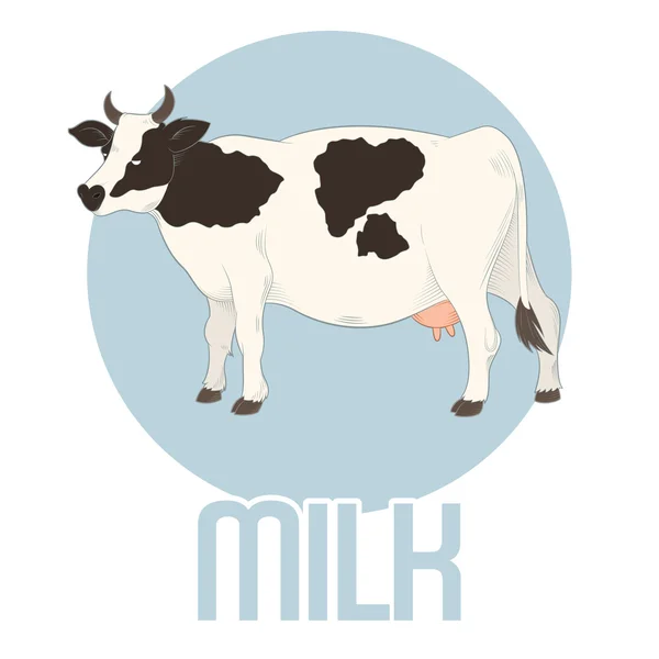 Krowa mleko Banner — Wektor stockowy