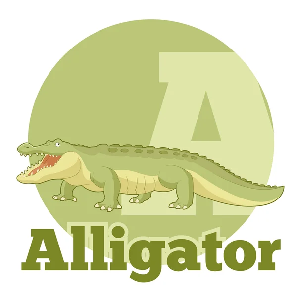 ABC cartone animato alligatore — Vettoriale Stock