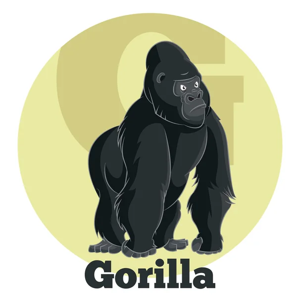 ABC rajzfilm Gorilla — Stock Vector