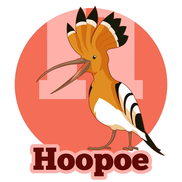 ABC Hoopoe de dibujos animados — Vector de stock