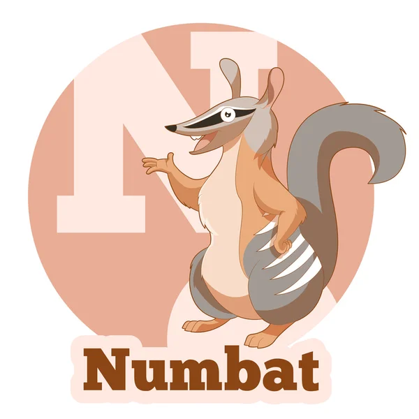 ABC Desenhos animados Numbat — Vetor de Stock