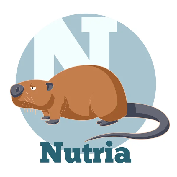 ABC dos desenhos animados Nutria — Vetor de Stock