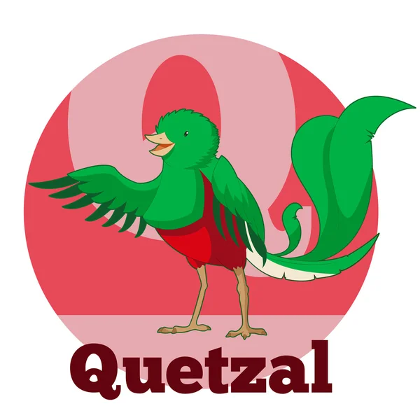 ABC dos desenhos animados Quetzal —  Vetores de Stock