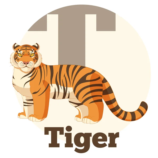 ABC Cartoon Tiger — Stock Vector