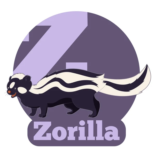 ABC kreslená Zorilla — Stockový vektor