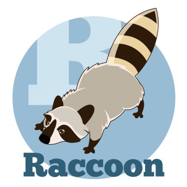 ABC çizgi film Raccoon2