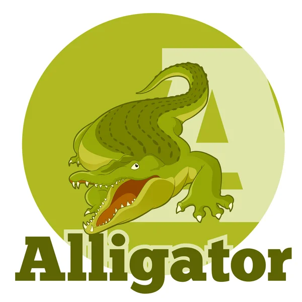 ABC-Cartoon-Alligator2 — Stockvektor