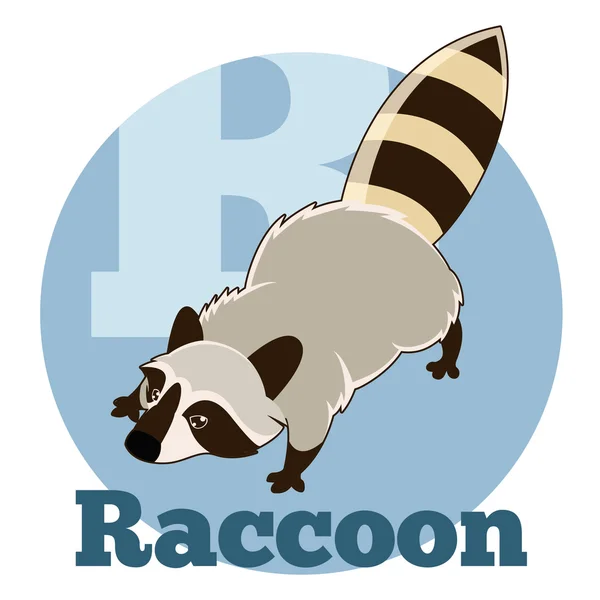 ABC kreslená Raccoon2 — Stockový vektor