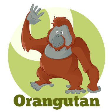 ABC çizgi film Orangutan2