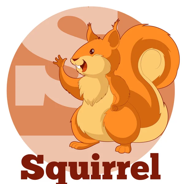 ABC dibujos animados Spuirrel2 — Archivo Imágenes Vectoriales