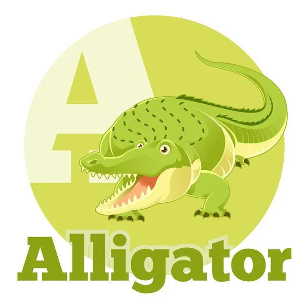 ABC rajzfilm aligátor — Stock Vector