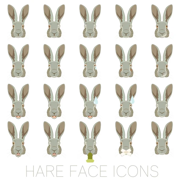 Uppsättning av Hare ansikten — Stock vektor