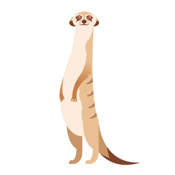 Cartoon happy meerkat — Stock Vector