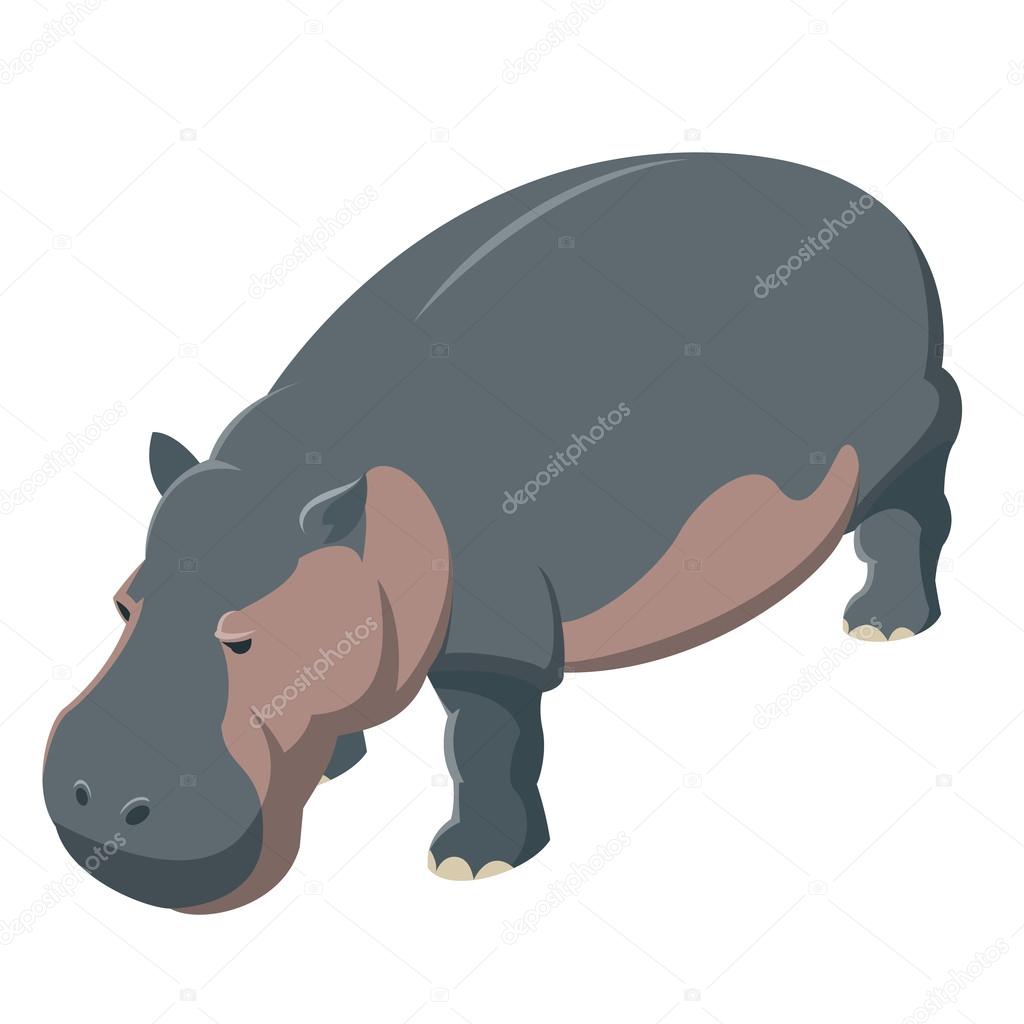 Vector image of the Hippo isometric icon