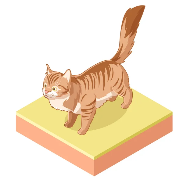 Isometrisch stehende Katze — Stockvektor