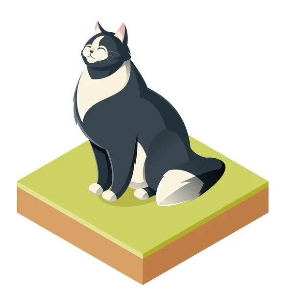 Isometric furry cat — Stock Vector