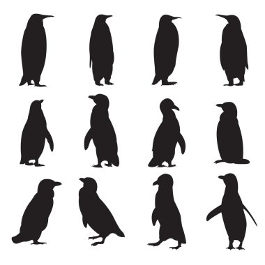 Penguenler siluetleri topluluğu
