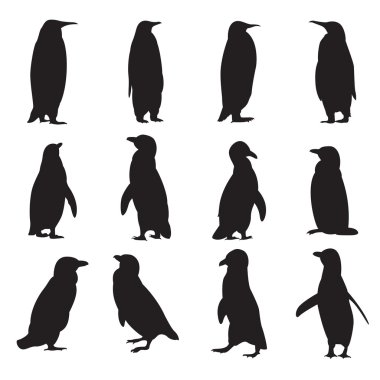 Collection of penguins' silhouettes clipart