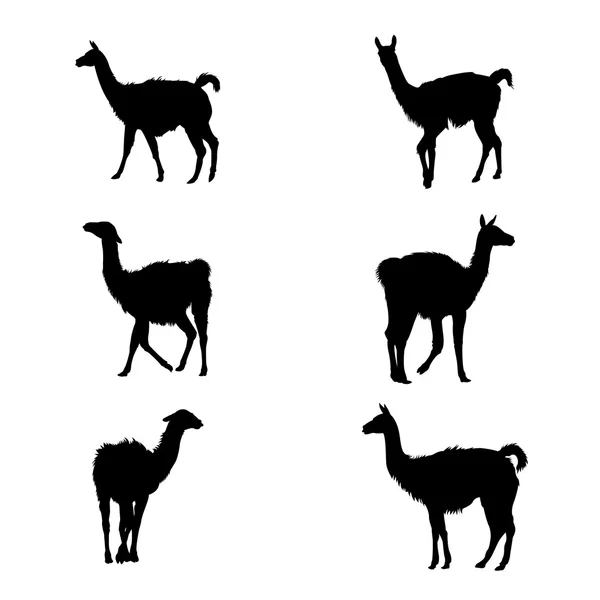 Collectie van guanaco' silhouetten — Stockvector