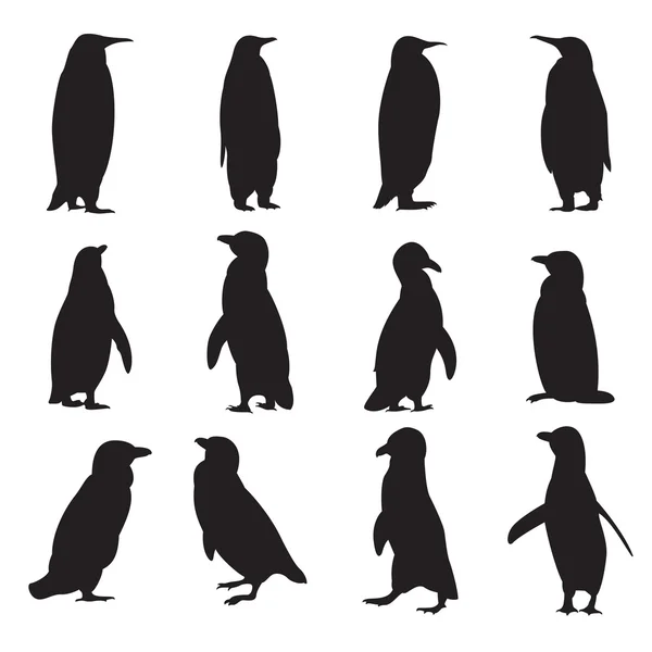 Coleta de silhuetas de pinguins — Vetor de Stock