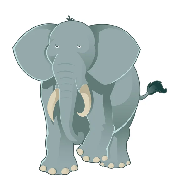 Grijze olifant — Stockvector