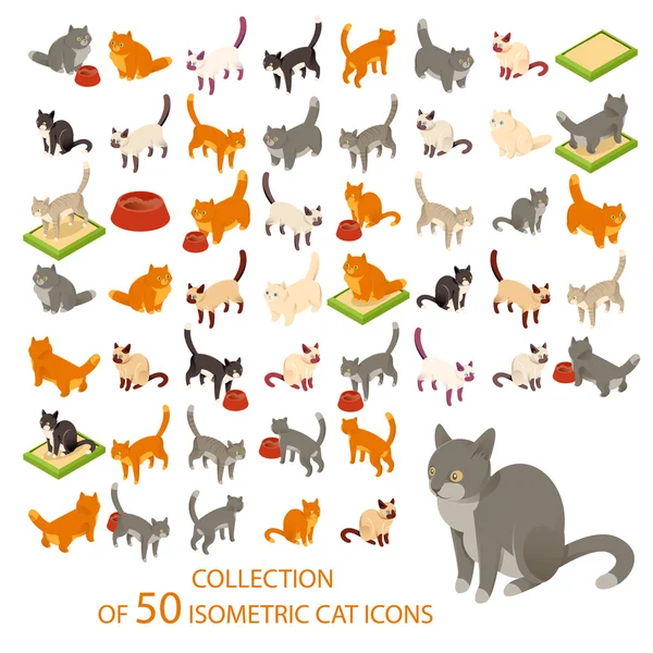 Cat cions — Stock Vector