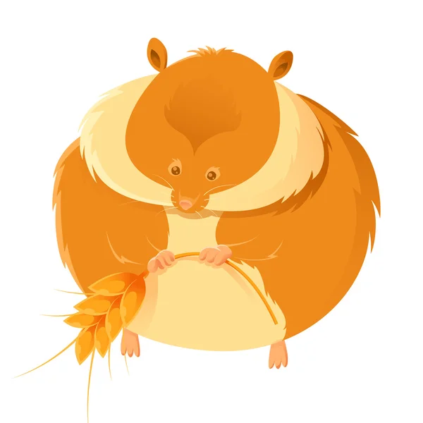 Hamster — Stockvector