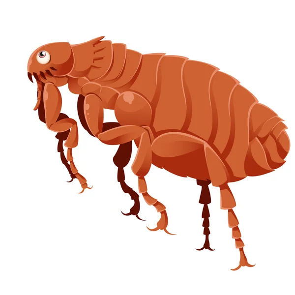 Cartoon Flea — Stock Vector