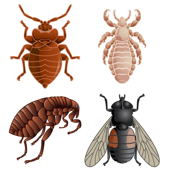 Set of icons with pests — Stock Vector