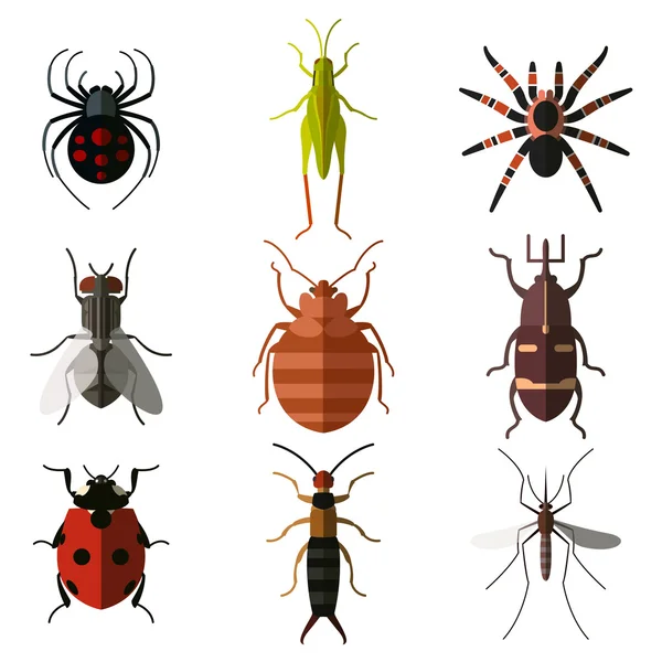 Set van insecten platte icons3 — Stockvector