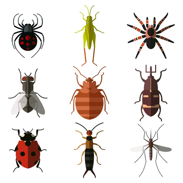 Conjunto de iconos planos de insecto3 — Archivo Imágenes Vectoriales