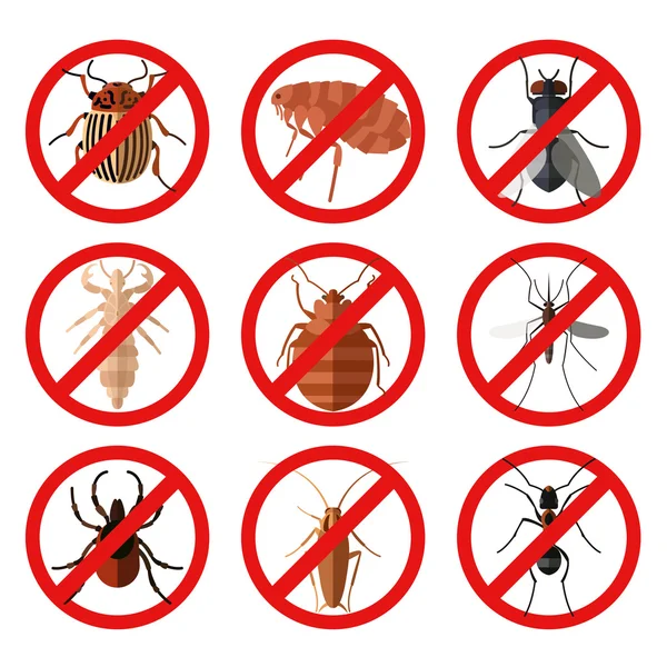 Conjunto de iconos de insectos plaga — Vector de stock