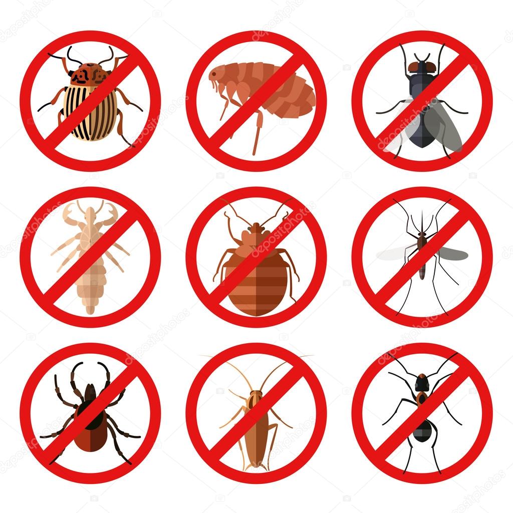 Set of pest insect icons