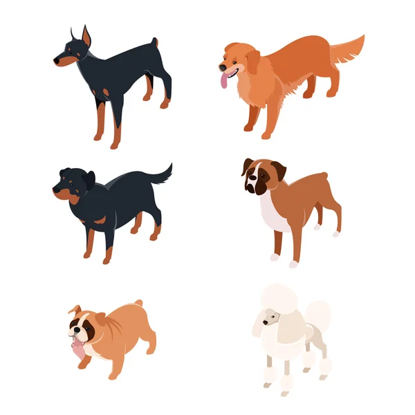 Collection of isometric dogs1 — Stock Vector