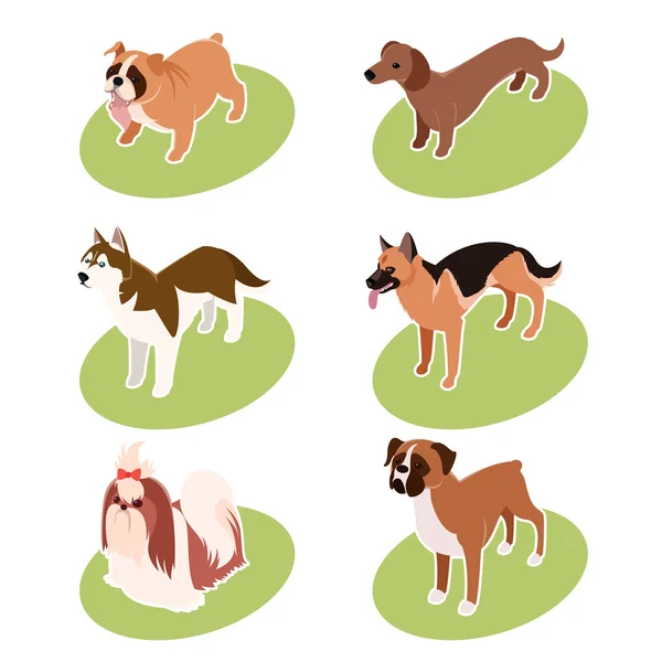 Collection of isometric dogs — Stock Vector