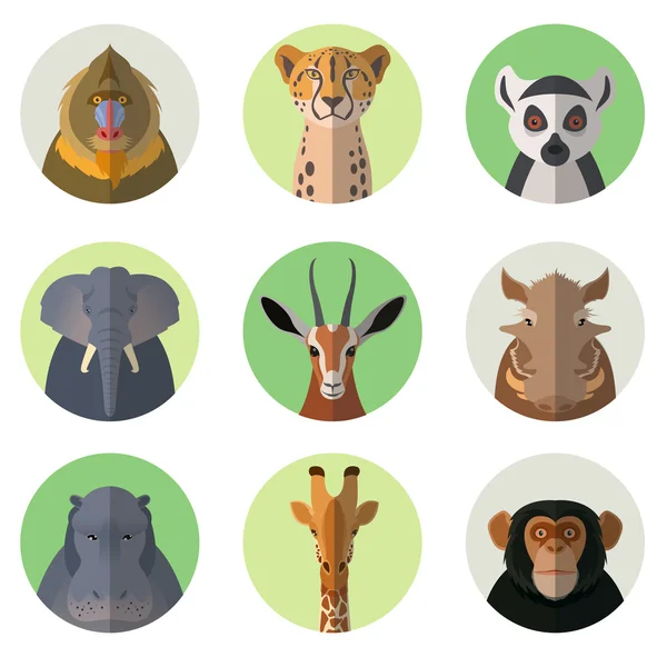 Animais africanos redondos ícones planos —  Vetores de Stock