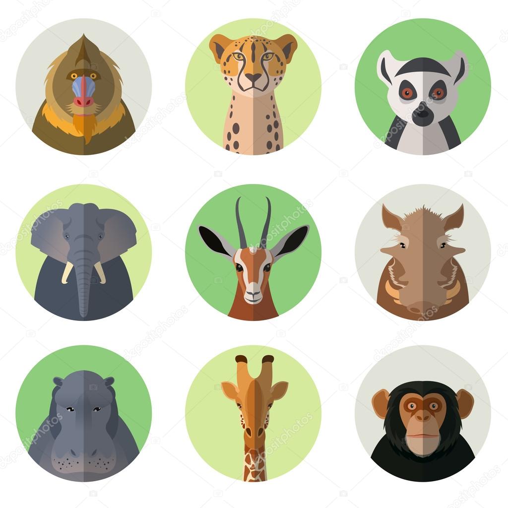 African animal round flat icons