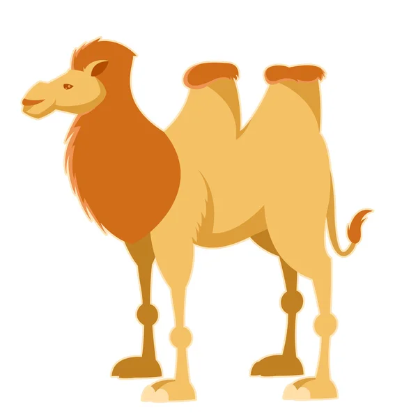 Мультфільм жовтий верблюд — стоковий вектор