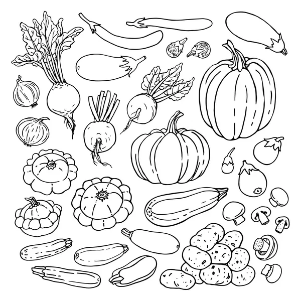 Натуральний набір свіжих овочів — стоковий вектор