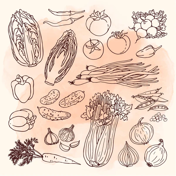 Συλλογή από φρέσκα λαχανικά — Διανυσματικό Αρχείο