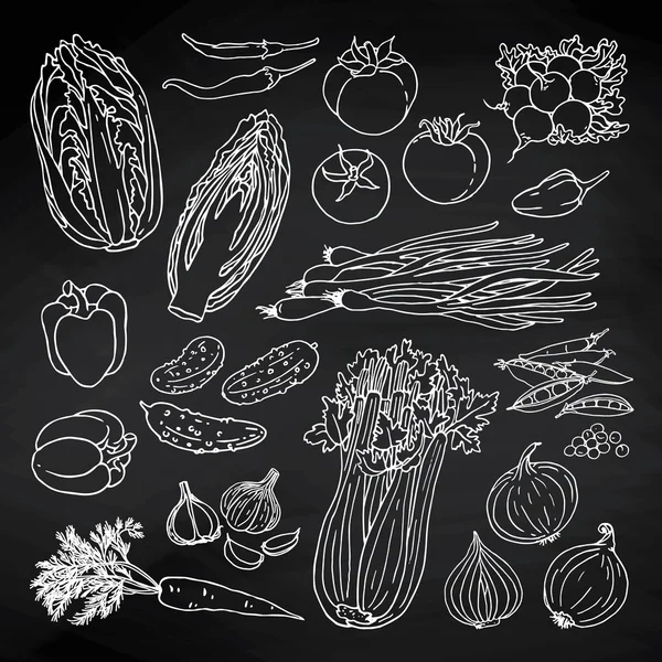 Колекція свіжих овочів — стоковий вектор