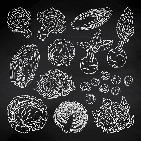 Kål grönsaker set — Stock vektor