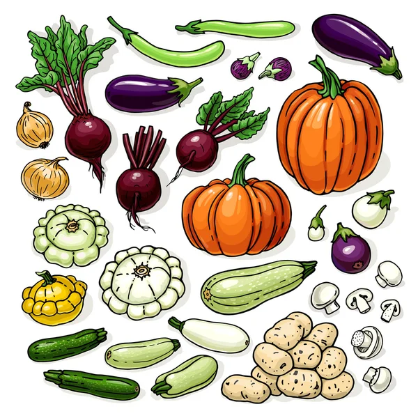 Bosquejo de verduras de granja de color vectorial con calabaza, raíces, coles, frasco, remolacha, brócoli, papas — Vector de stock