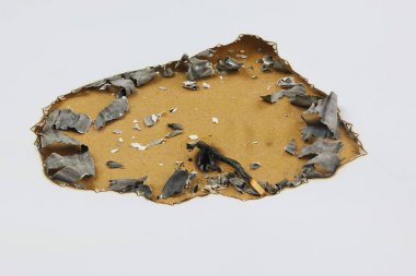 paper, with charred and curled edges and ashes on a light brown surface. There is also a blackened burnt piece in the center of the image.