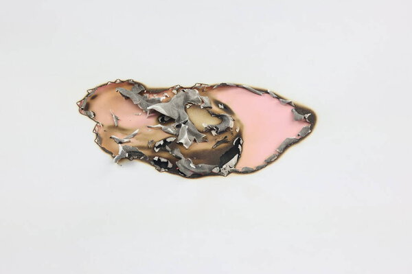 Image of burnt paper on a white surface.