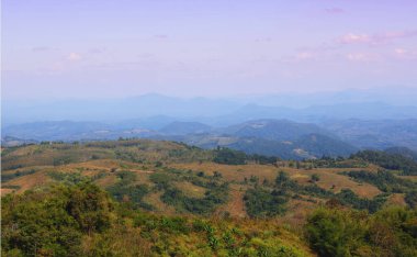 Orman dağlarından oluşan katmanlı, kademeli bir manzara..