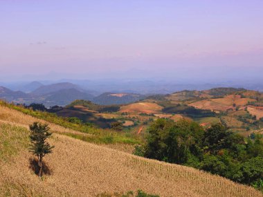 Rolling Hills ve Kuru Tarım Alanlarının Manzarası